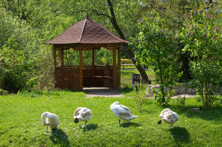 The slight bell curve of this gazebo and large shingles stand out against the wooded backdrop. The slight bell curve of this gazebo and large shingles stand out against the wooded backdrop.