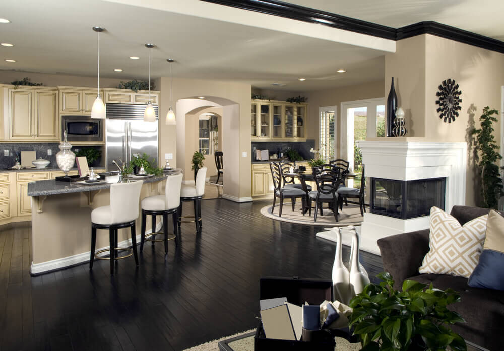 Open living area with kitchen and living room
