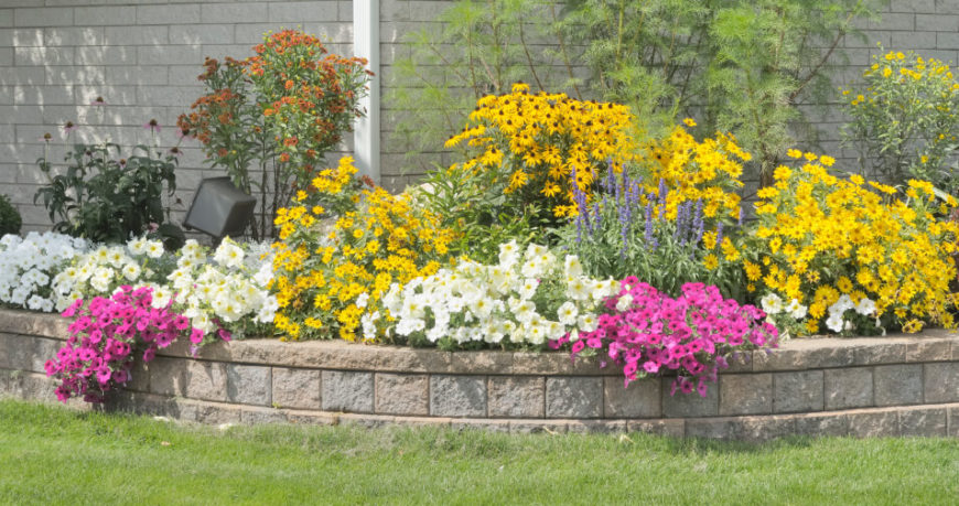 A simple retaining wall that creates a raised gardening plot filled with petunias, black-eyed susans, and other members of the daisy family. A simple retaining wall that creates a raised gardening plot filled with petunias, black-eyed susans, and other members of the daisy family.