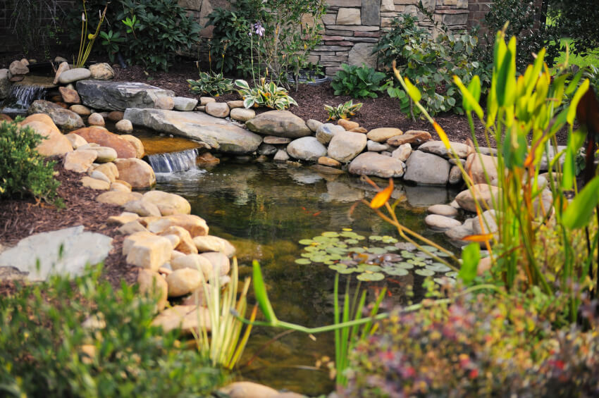 A simple pond with a few small ornamental fish and lilypads. Multiple small cascades run along this water feature. A simple pond with a few small ornamental fish and lilypads. Multiple small cascades run along this water feature.