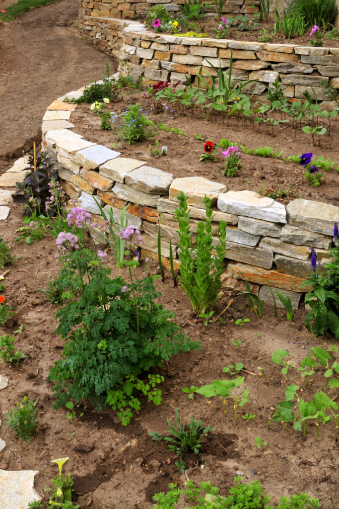 A new garden with several garden tiers and new growth. The stone retaining walls will keep the arrangements separate. A new garden with several garden tiers and new growth. The stone retaining walls will keep the arrangements separate.