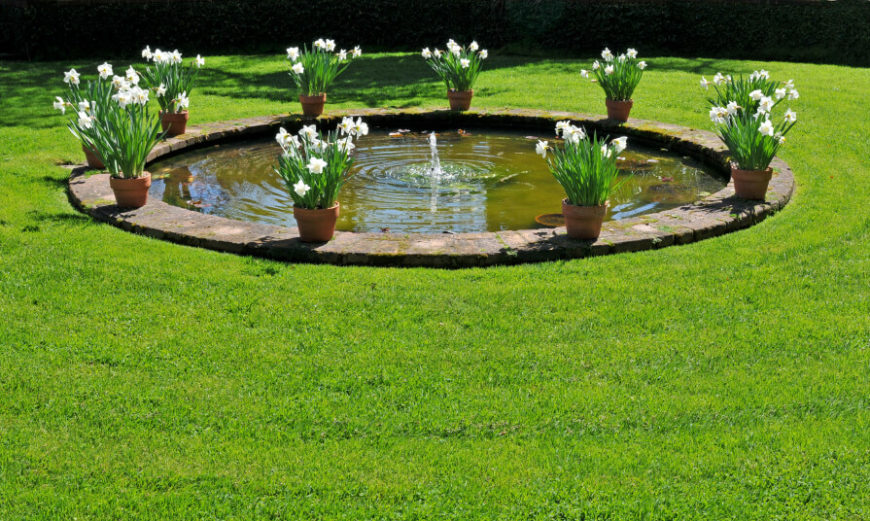 A circular garden pond in the center of a manicured lawn. Planters full of white daffodils are placed equal distances apart around the perimeter of the pond. A circular garden pond in the center of a manicured lawn. Planters full of white daffodils are placed equal distances apart around the perimeter of the pond.