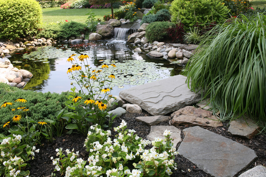 A more natural-looking garden pond with a flagstone path leading up to the water's edge. A wide waterfall cascades into the main pool. A more natural-looking garden pond with a flagstone path leading up to the water's edge. A wide waterfall cascades into the main pool.