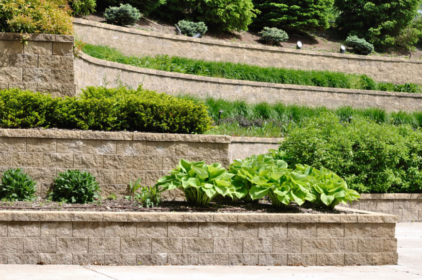 A simple terrace garden with ornamental grasses and bushes. A simple terrace garden with ornamental grasses and bushes.