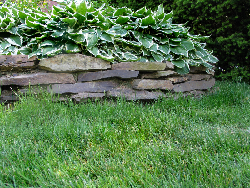 Thin slate stones stacked create a natural-looking, simple barrier between the landscaping and the grass. Thin slate stones stacked create a natural-looking, simple barrier between the landscaping and the grass.