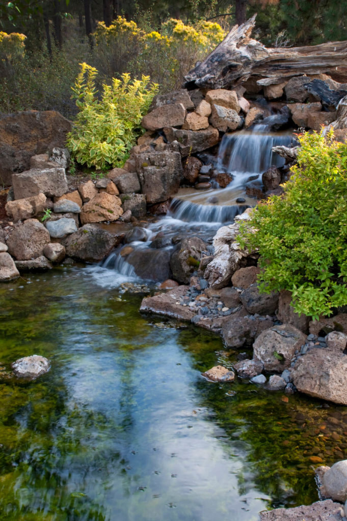 A beautiful backyard pond on a secluded lot. A large waterfall tumbles into the pond, which has a greenish-cast from the moss on the rocks covering the bottom. A branch across the top of the waterfall adds another natural element to this pond. A beautiful backyard pond on a secluded lot. A large waterfall tumbles into the pond, which has a greenish-cast from the moss on the rocks covering the bottom. A branch across the top of the waterfall adds another natural element to this pond.
