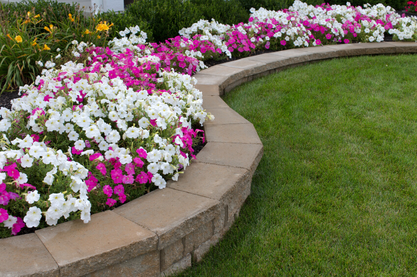 A short retaining wall that creates dedicated planting beds easily distinguishable from the grass lawn. A short retaining wall that creates dedicated planting beds easily distinguishable from the grass lawn.