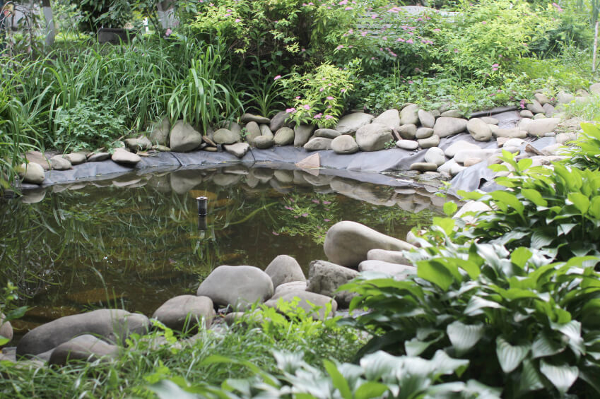 A simple garden pond with a center fountain. The simple liner is held down solidly by large stones. The pond is surrounded by thick, lush grasses and bushes. A simple garden pond with a center fountain. The simple liner is held down solidly by large stones. The pond is surrounded by thick, lush grasses and bushes.