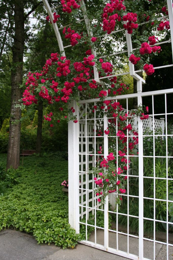 27 Garden Trellis And Lattice Ideas Wood Metal