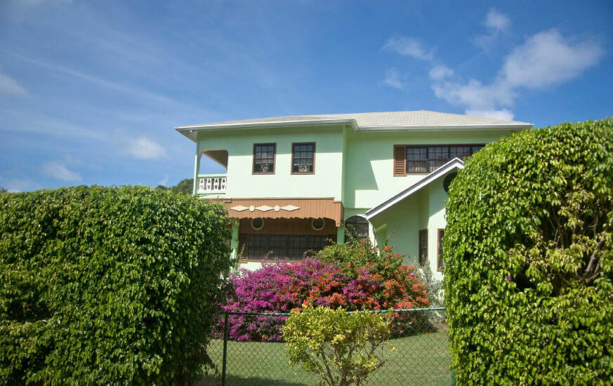 Tropical home with chain link fence with hedge Tropical home with chain link fence with hedge