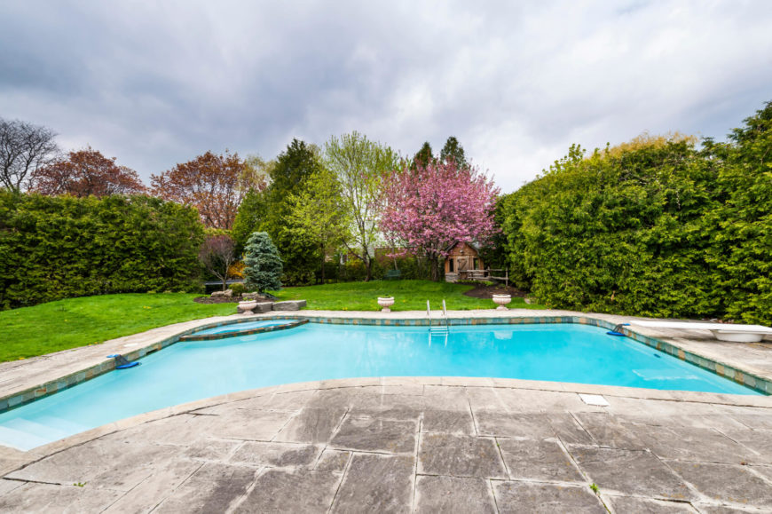 Backyard with pool