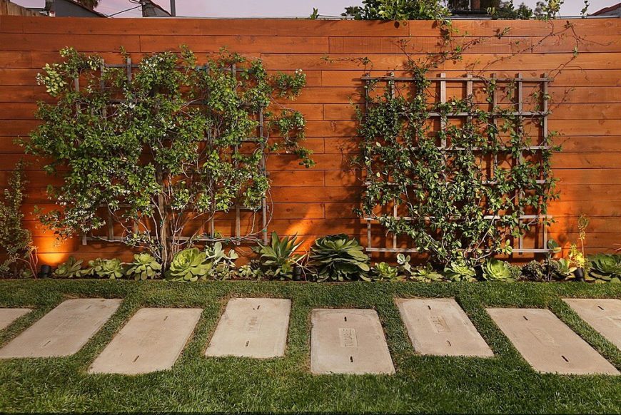 This tall, solid privacy fence is in a beautiful, rich stain and is punctuated with wooden trellises and a succulent planting bed. This tall, solid privacy fence is in a beautiful, rich stain and is punctuated with wooden trellises and a succulent planting bed.