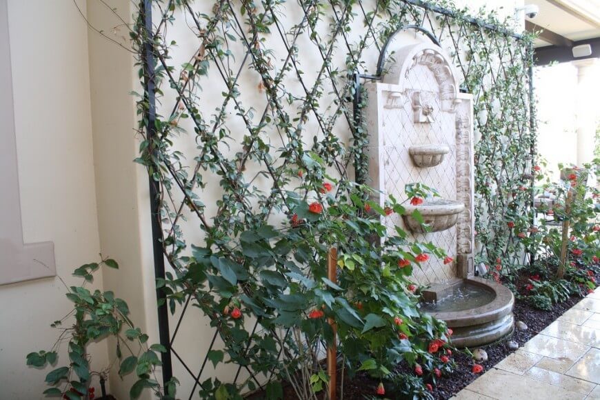An iron lattice is placed against a large open section of facade, and roses are trained to grow over each section. The result is a flaming display of roses around an elegant water fountain. An iron lattice is placed against a large open section of facade, and roses are trained to grow over each section. The result is a flaming display of roses around an elegant water fountain.