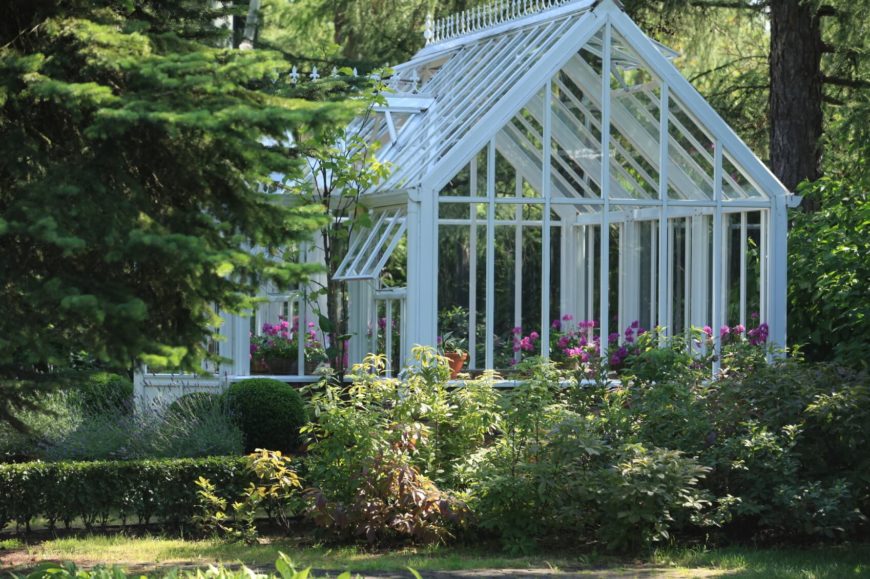An enormous white greenhouse that is mainly used for cultivating brightly colored roses. An enormous white greenhouse that is mainly used for cultivating brightly colored roses.
