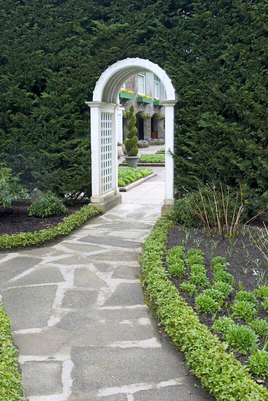 A beautiful white arbor tucked into a massive hedge wall, creating a portal through to the other side of the garden, a large courtyard. Along the flagstone path leading to the arbor are small but thick plants. A beautiful white arbor tucked into a massive hedge wall, creating a portal through to the other side of the garden, a large courtyard. Along the flagstone path leading to the arbor are small but thick plants.
