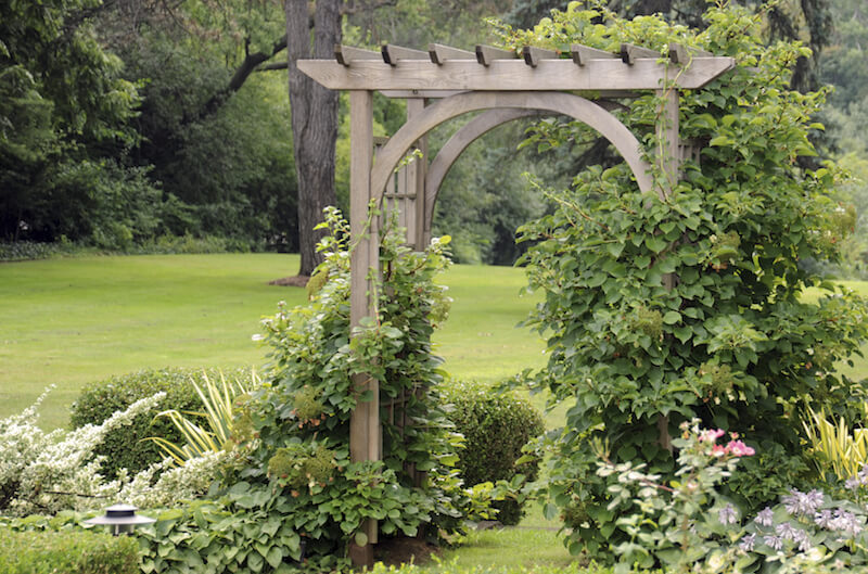 This is a much more simple design, with a top similar to a pergola. The sides are covered in dense vines that merge into the planting beds on either side. This is a much more simple design, with a top similar to a pergola. The sides are covered in dense vines that merge into the planting beds on either side.
