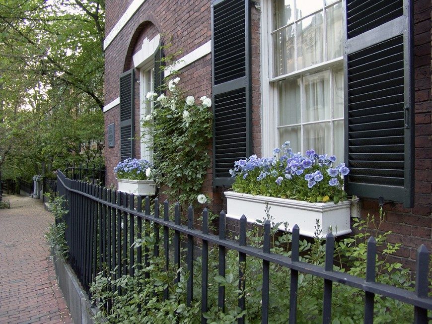 These bright white wooden window boxes are simply constructed, which allows the lovely lavender pansies to take center stage. These bright white wooden window boxes are simply constructed, which allows the lovely lavender pansies to take center stage.