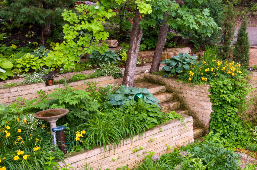 This garden has tall terraces that lead up the hill at the back of the property. Stairs built at the center help the homeowners get up to the higher terraces to water or fertilize. This garden has tall terraces that lead up the hill at the back of the property. Stairs built at the center help the homeowners get up to the higher terraces to water or fertilize.