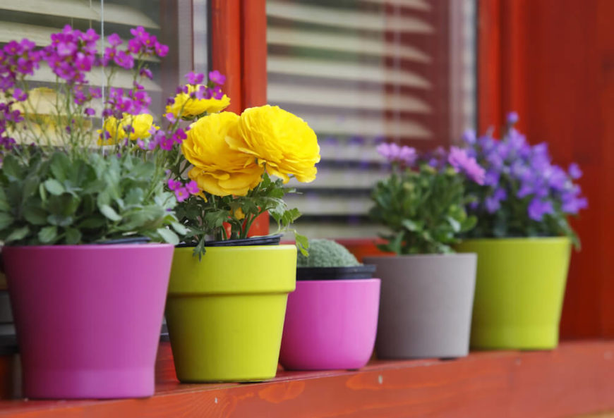 If you prefer a more simple approach, some ceramic, brightly colored planters might be just the ticket. If you prefer a more simple approach, some ceramic, brightly colored planters might be just the ticket.