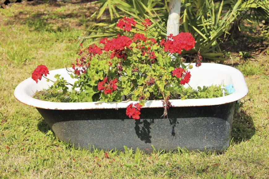 Even an old clawfoot bathtub can get new life as a planter. This idea is perfect for an eclectic or country garden. Even an old clawfoot bathtub can get new life as a planter. This idea is perfect for an eclectic or country garden.