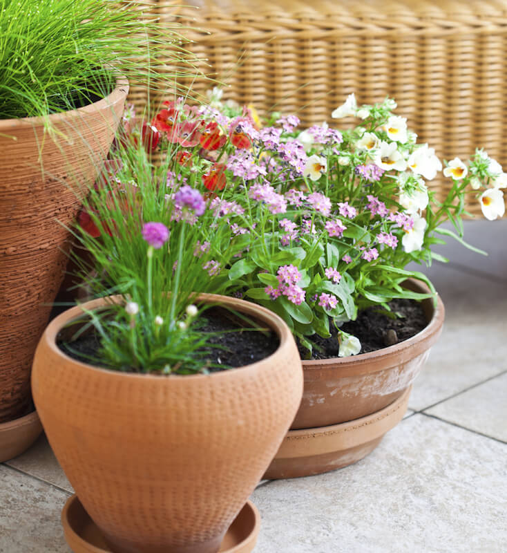 Choosing planters of different heights, textures, and shapes is a great way to add subtle texture to a small container garden. Choosing planters of different heights, textures, and shapes is a great way to add subtle texture to a small container garden.