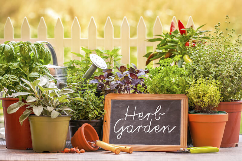 Vary the colors and materials as well. Herb gardens do especially well in container gardens, as it's easy to keep the different herbs separate. Vary the colors and materials as well. Herb gardens do especially well in container gardens, as it's easy to keep the different herbs separate.
