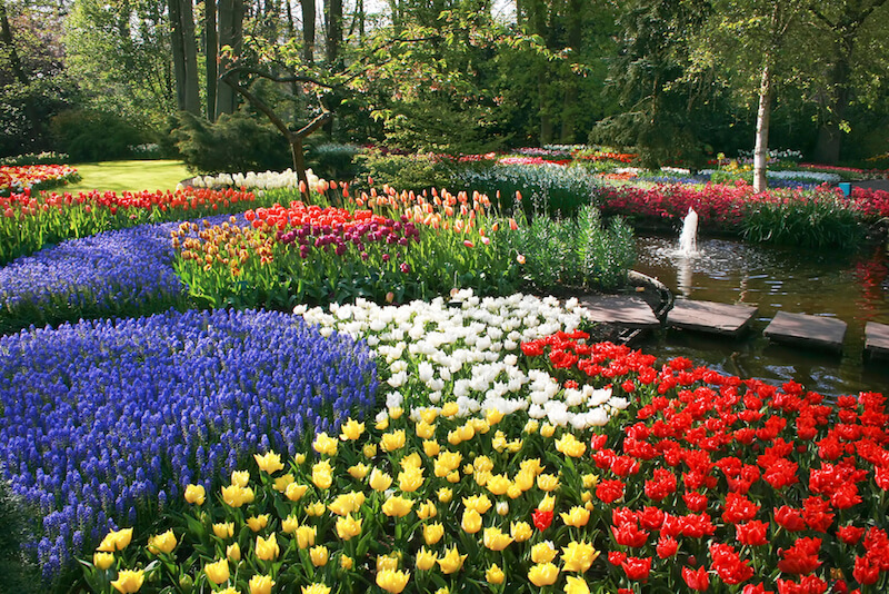 This lovely garden has dozens of colors of flowers packed into beds that slowly merge together, creating a quilt-like pattern of delicate flowers. This lovely garden has dozens of colors of flowers packed into beds that slowly merge together, creating a quilt-like pattern of delicate flowers.