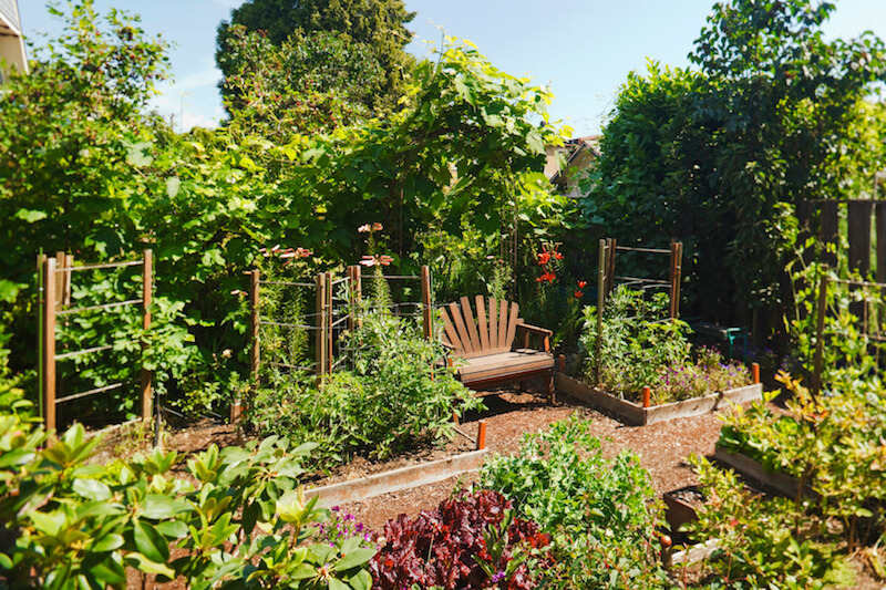 If you prefer, you can add small planting boxes to keep your plants corralled and separate. Add cages for taller plants like beans and tomatoes. If you prefer, you can add small planting boxes to keep your plants corralled and separate. Add cages for taller plants like beans and tomatoes.