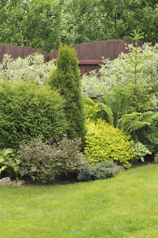 Just like with flowers, shrubs and bushes come in so many different textures, heights and shades that you can create a varied display easily. Just like with flowers, shrubs and bushes come in so many different textures, heights and shades that you can create a varied display easily.