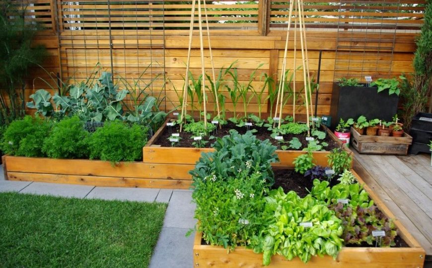 This vegetable garden is built in an L-shape in raised beds, taking advantage of a mostly unused corner of the garden by the patio This vegetable garden is built in an L-shape in raised beds, taking advantage of a mostly unused corner of the garden by the patio