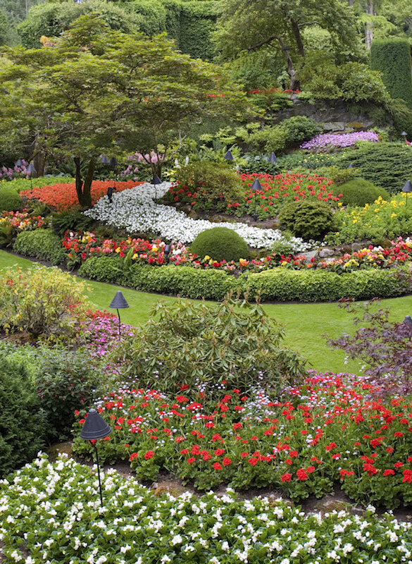 This garden extends into the distance, never seeming to end. A pathway of grass winds through the thick displays of ornamental trees, shrubs,and flower beds. This garden extends into the distance, never seeming to end. A pathway of grass winds through the thick displays of ornamental trees, shrubs,and flower beds.