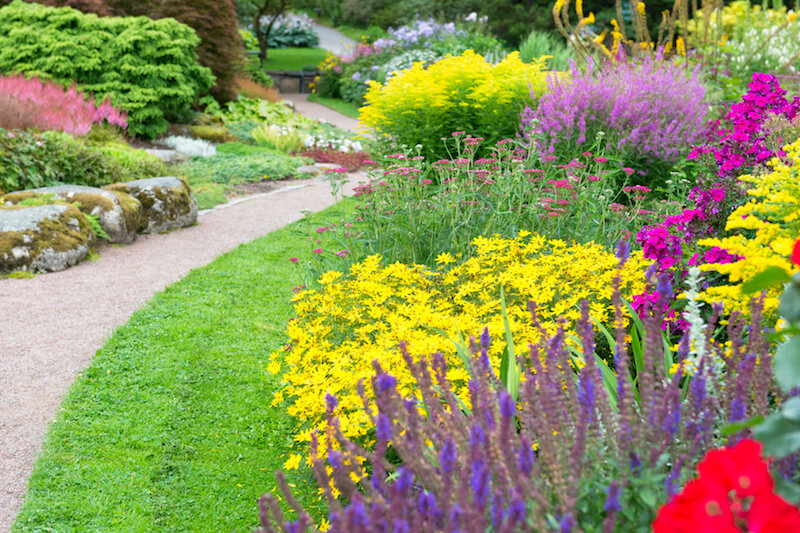 A simple gravel path winds through this thick garden and off into the distance. Vibrant color is center stage in this garden. A simple gravel path winds through this thick garden and off into the distance. Vibrant color is center stage in this garden.