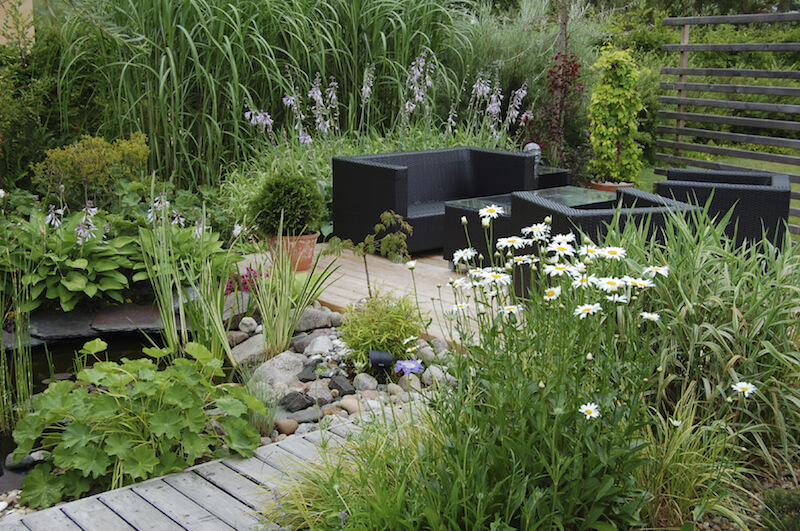 This contemporary garden is packed with dense grasses and plants, but not many flowers. The result is a mostly green, but relaxing garden with just a hint of fragrance. This contemporary garden is packed with dense grasses and plants, but not many flowers. The result is a mostly green, but relaxing garden with just a hint of fragrance.