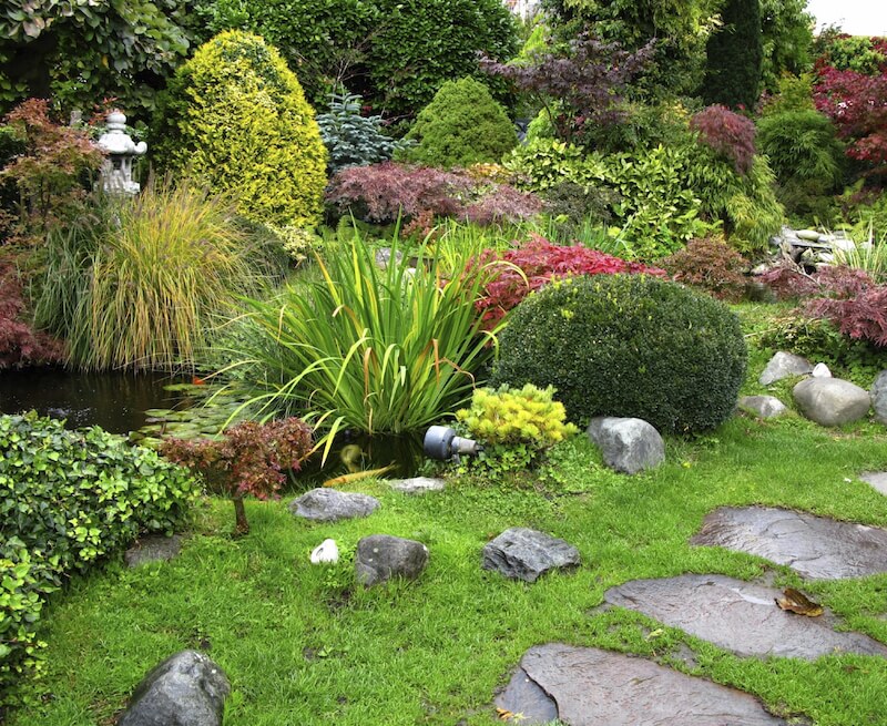Large flagstones make up a pathway through this densely populated garden that includes shrubs, grasses, trees, and water-loving plants. Large flagstones make up a pathway through this densely populated garden that includes shrubs, grasses, trees, and water-loving plants.