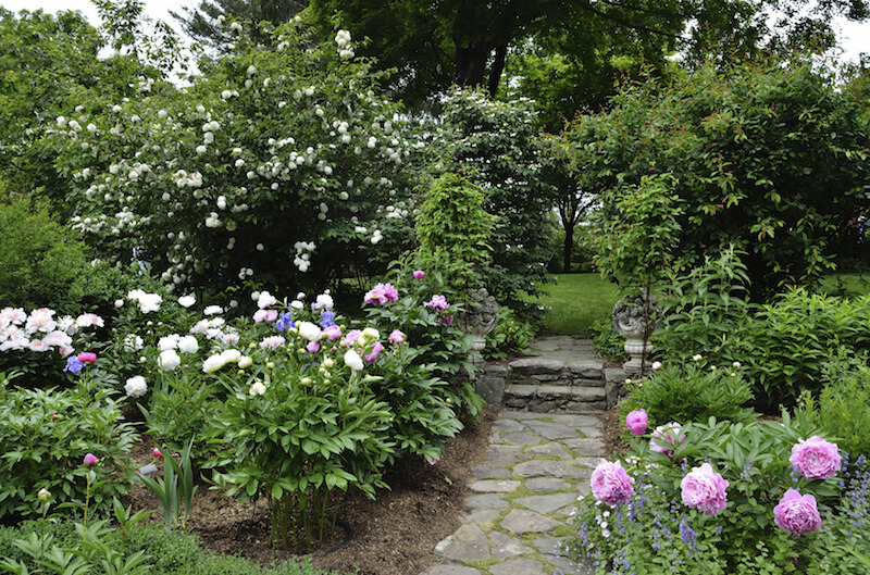 This garden is dense as well, filled with flowering ornamental trees and flowers with large, showy blooms. This garden is dense as well, filled with flowering ornamental trees and flowers with large, showy blooms.