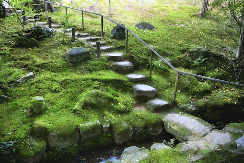 The rocky landscape of this garden is covered in moss with a few small trees. The stone steps and pathways are marked with a railing for stability. The rocky landscape of this garden is covered in moss with a few small trees. The stone steps and pathways are marked with a railing for stability.