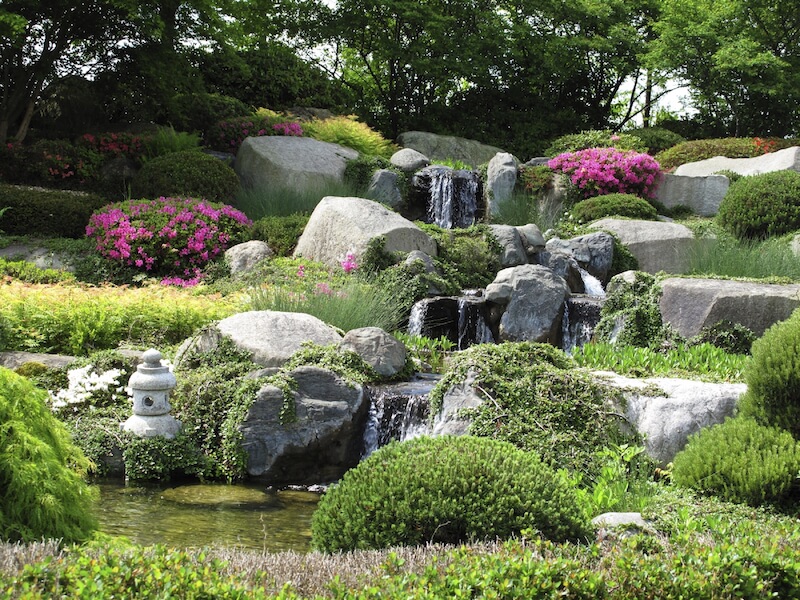The enormous boulders in this garden are used to facilitate a lovely multi-tiered waterfall. The land between is filled with bushes, water-loving plants, and some flowering shrubs. The enormous boulders in this garden are used to facilitate a lovely multi-tiered waterfall. The land between is filled with bushes, water-loving plants, and some flowering shrubs.