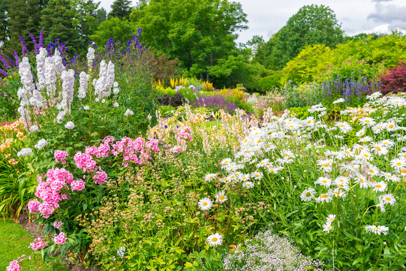 Thick planting beds filled with many different kinds of flowers, and featuring a variety of colors and textures. Thick planting beds filled with many different kinds of flowers, and featuring a variety of colors and textures.