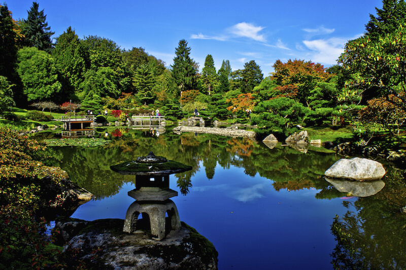 This view shows a massive swath of this Japanese garden from across a large pond. Trees densely populate this large example. This view shows a massive swath of this Japanese garden from across a large pond. Trees densely populate this large example.