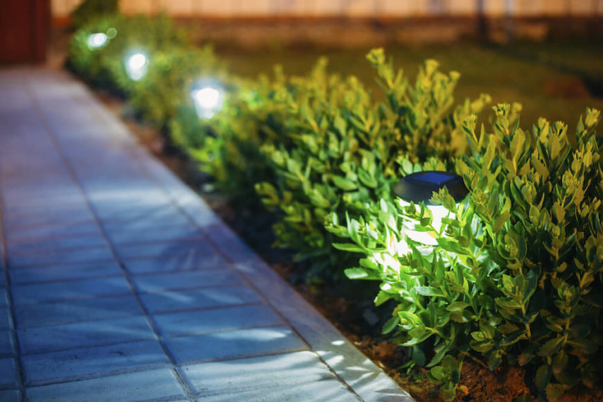Small lights hidden in short hedges provide light along a walkway, illuminating the path through the yard. These are typically solar. Small lights hidden in short hedges provide light along a walkway, illuminating the path through the yard. These are typically solar.