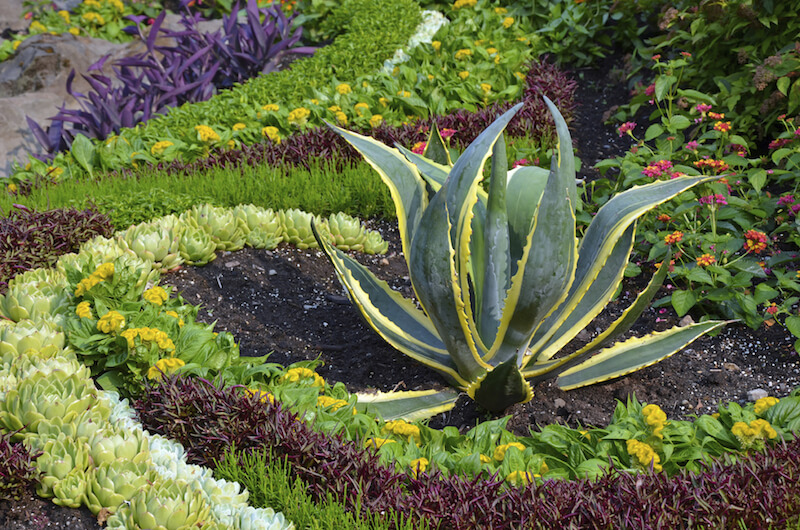 This is a more manicured and planned garden filled with color and geometry. This is a more manicured and planned garden filled with color and geometry.
