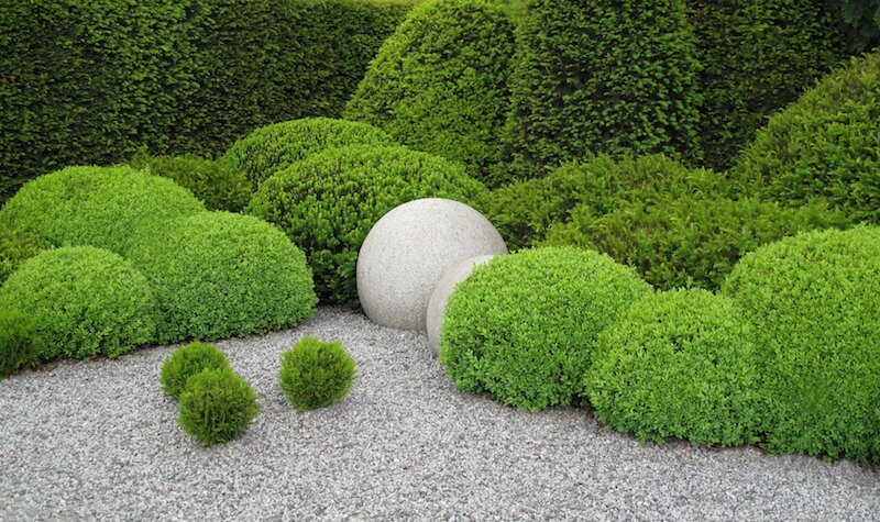 Each of these hedges is shaped into little topiary balls that match the concrete ones in the center. Each of these hedges is shaped into little topiary balls that match the concrete ones in the center.