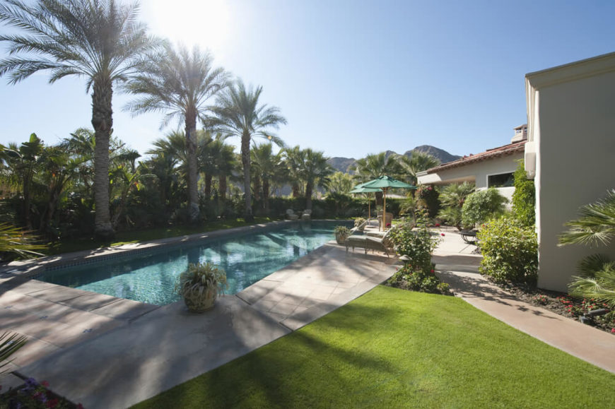 A more narrow swimming pool flanked by a row of large palm trees. Patio furniture along the side closest to the home rounds out the design. A more narrow swimming pool flanked by a row of large palm trees. Patio furniture along the side closest to the home rounds out the design.
