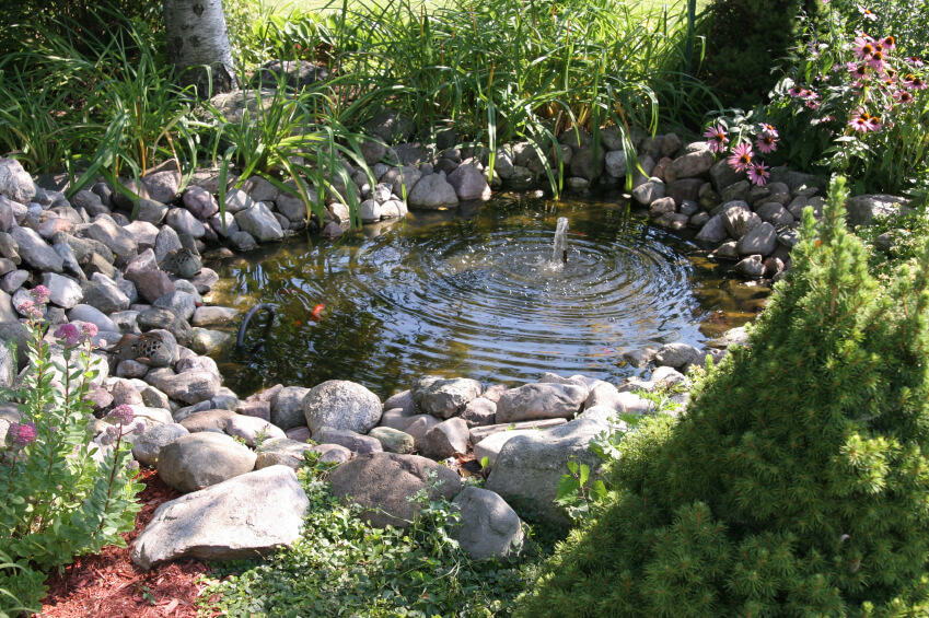 A small fish pond with a bubbler at the center, keeping the pond aerated and suitable for fish life. A small fish pond with a bubbler at the center, keeping the pond aerated and suitable for fish life.