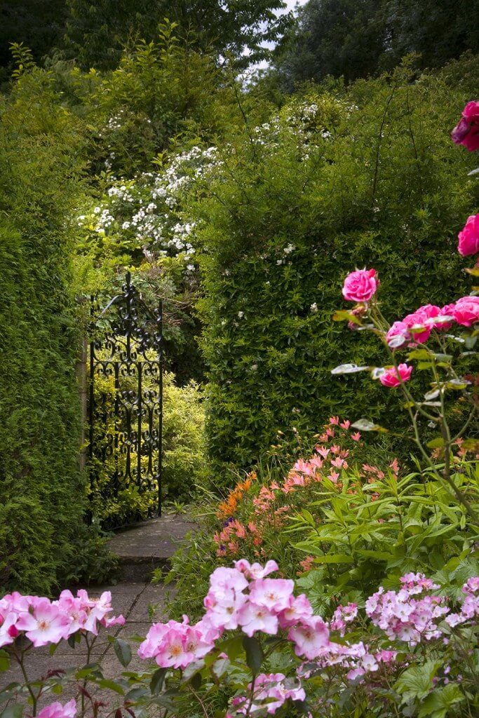 This hedge has a fence hidden inside, which has a lovely wrought iron gate that seems to appear almost out of nowhere. This hedge has a fence hidden inside, which has a lovely wrought iron gate that seems to appear almost out of nowhere.