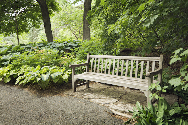 A simple wooden bench tucked just off the pathway into the trees and thick plants. A simple wooden bench tucked just off the pathway into the trees and thick plants.
