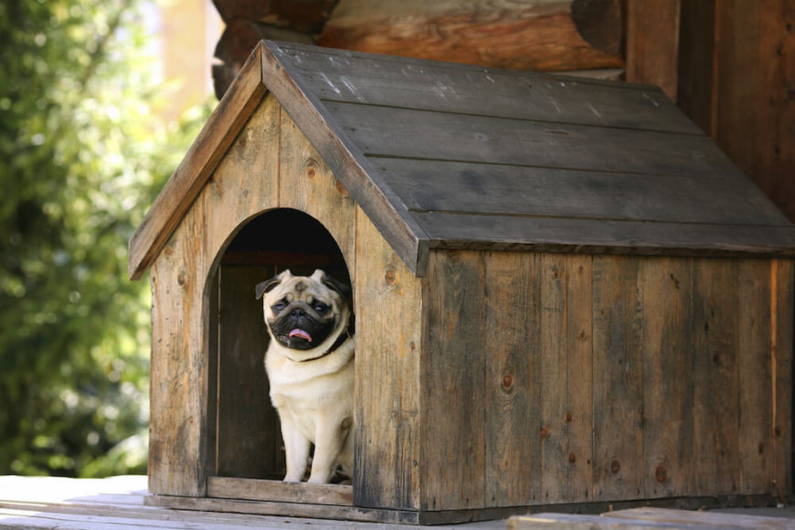 This is a smaller dog house perfect for small breeds, like the pug shown. It's a rustic dog house, but sheltered on the front porch of this log cabin. This is a smaller dog house perfect for small breeds, like the pug shown. It's a rustic dog house, but sheltered on the front porch of this log cabin.