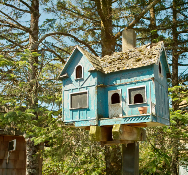 A light blue birdhouse designed to resemble a lovely English cottage. A light blue birdhouse designed to resemble a lovely English cottage.