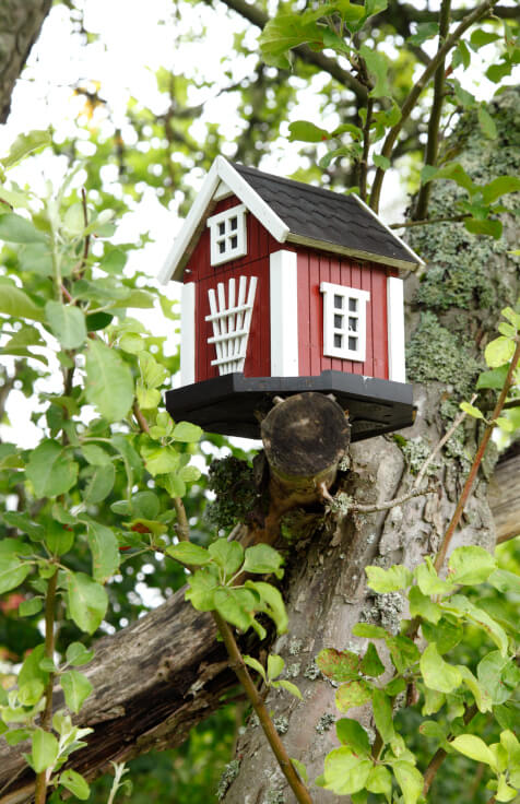 A crisply painted red and white barn-shaped birdhouse perched on a sawn-off branch in a mature tree. A crisply painted red and white barn-shaped birdhouse perched on a sawn-off branch in a mature tree.