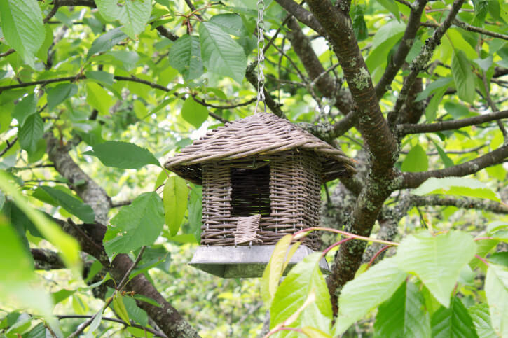 A hanging wicker birdhouse with a door large enough for larger species of birds to fit through. A hanging wicker birdhouse with a door large enough for larger species of birds to fit through.